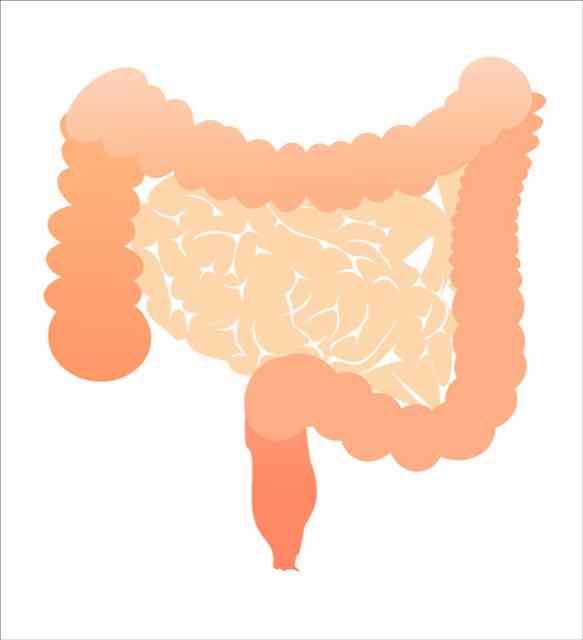 Diverticulite Aguda: Highlights do Guideline americano