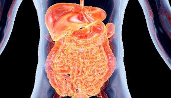 gastroenterite