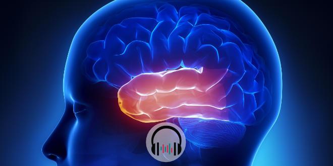 TOP 5 neurologia: confira os artigos mais acessados de julho [PEBMEDCast]