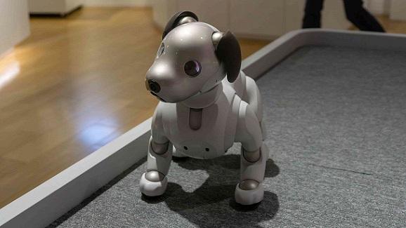 Animais de estimação robóticos no tratamento de crianças com autismo e idosos