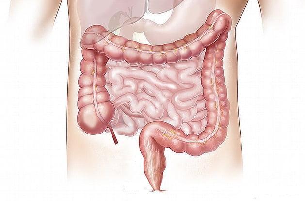 Congresso AIBD 2020: atualizações em doenças inflamatórias intestinais