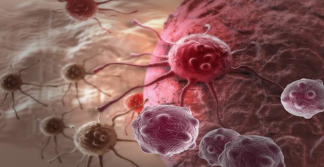 Célula cancerígena causadora de câncer colorretal