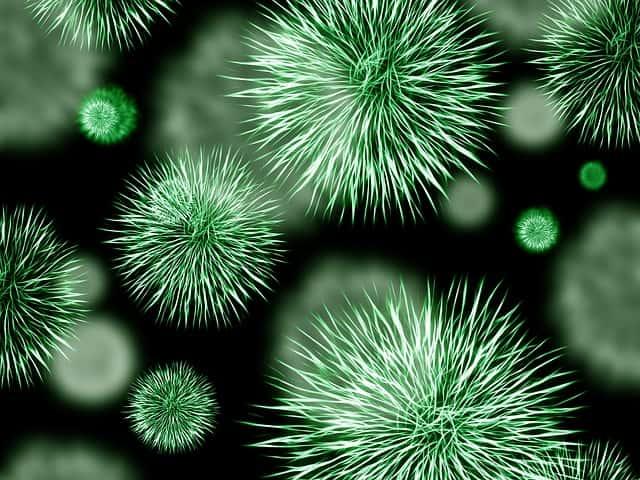 Infecções após hemorragia digestiva alta varicosa no cirrótico sob antibioticoprofilaxia