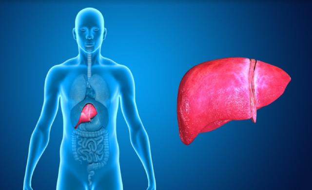 Devido a melhorias na prevenção e tratamento das hepatites crônicas virais, a DHGNA se tornou uma das principais causas de CHC.