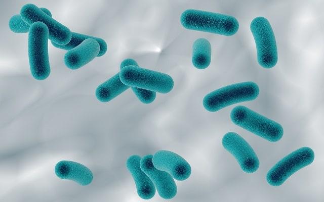transplante de microbiota fecal