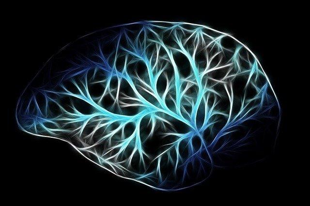 Predição de deterioração neurológica após hemorragia intracerebral pontuação SIGNALS