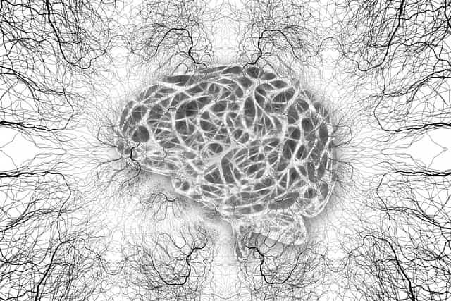 Parece, mas não é conheça diagnósticos tratáveis que se assemelham a paralisia cerebral