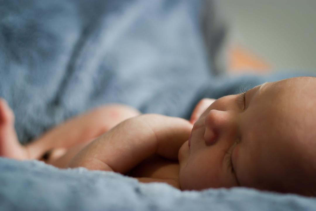 Efeitos da prematuridade na composição da microbiota e estratégias de reformulação