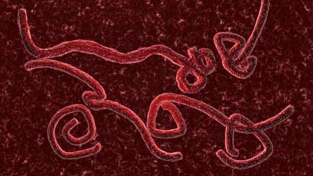 Ebola  (Parte III) – O que os médicos precisam saber