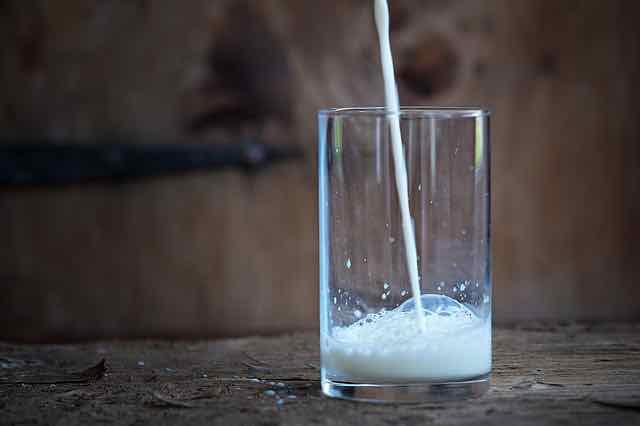 Laticínios causam acne? Mitos e verdades