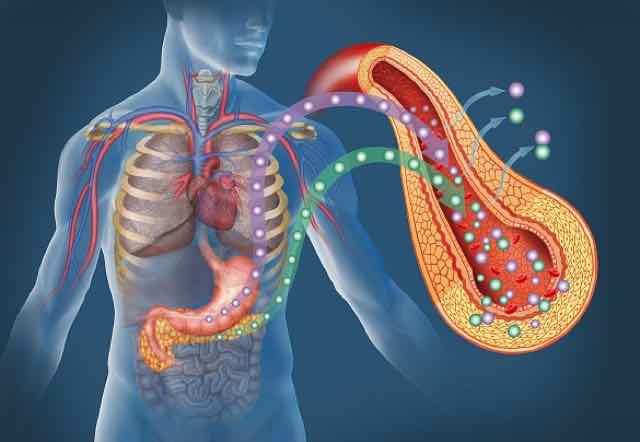 Dislipidemia: triglicerídeo alto – que fazer? (parte 3)