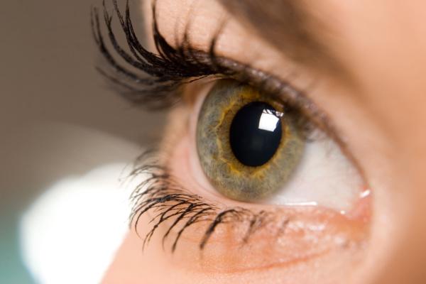 A complexa genética da cor dos olhos: você sabe quem são os responsáveis?