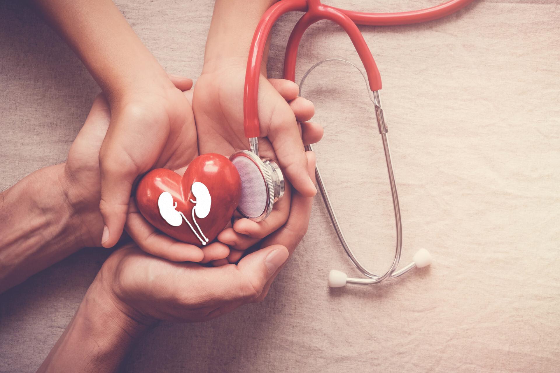 SOCESP 2024: Doença renal e doença cardiovascular