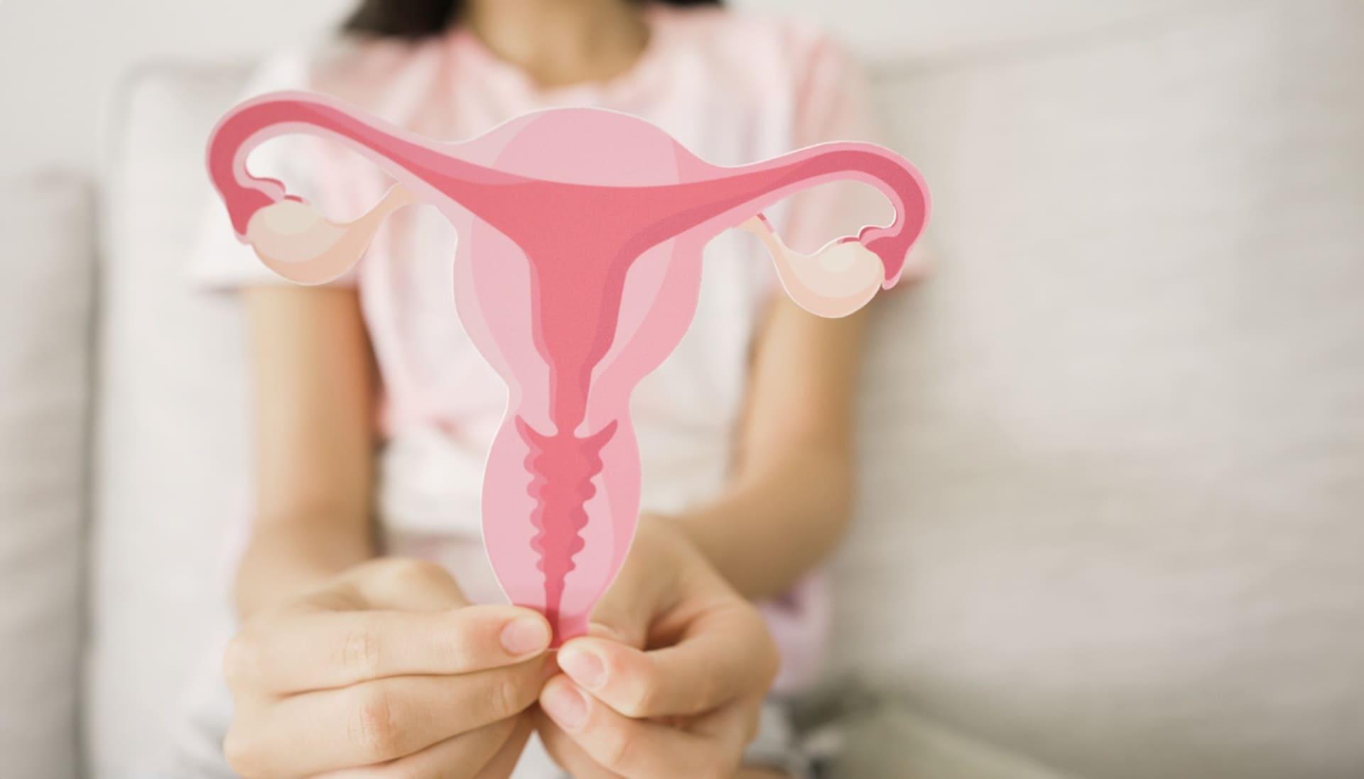 SGORJ 2024: Teste de DNA-HPV e rastreamento do câncer de colo uterino