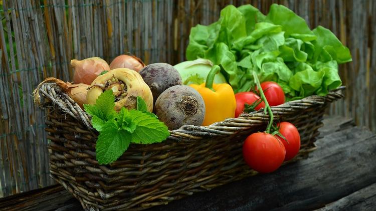 Qual a relação entre gota e dieta baseada em vegetais? 