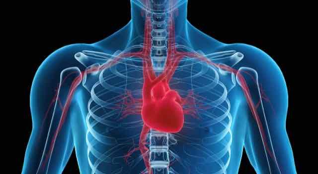 Um homem, um coração e sua obra em vida