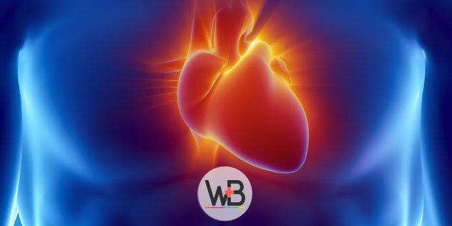 Whitebook: conheça a abordagem terapêutica da estenose aórtica