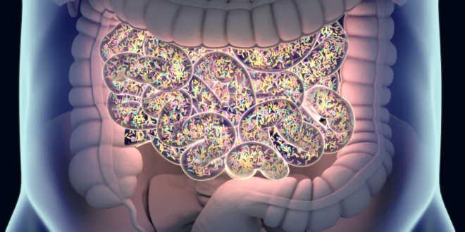 Conheça os principais desafios da área de coloproctologia