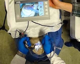 S.A.L.A.D.: Uma técnica que pode salvar você (e o seu paciente)