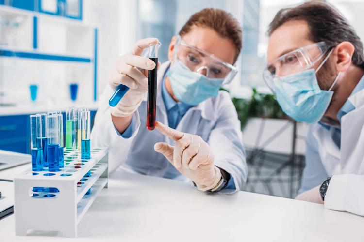 Pesquisas com embriões híbridos (humanos + animais) são autorizadas no Japão