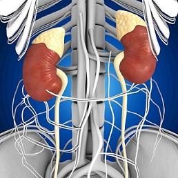 Nefropatia associada ao contraste renal: considerações atuais