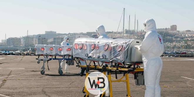 Whitebook: infecção pelo vírus Ebola