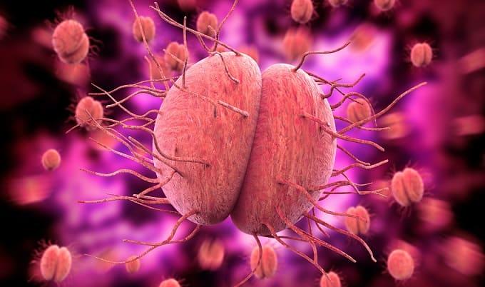 Sífilis: aumento mais de 4.000% dos casos no Brasil