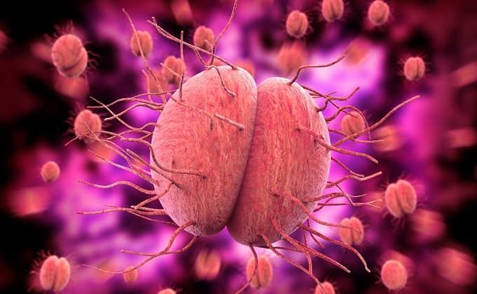 Retrospectiva 2019: veja as principais novidades em Infectologia do ano