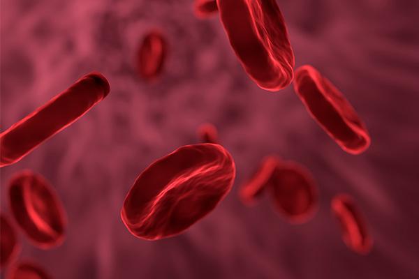 Tratamento da anemia melhora qualidade de vida de pacientes renais