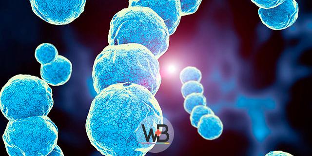 Como identificar celulite com o Whitebook