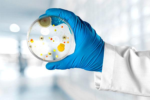 Há um questionamento sobre associação entre infecção fúngica e Covid-19, assim como a Influenza. Um estudo francês avaliou esta questão.