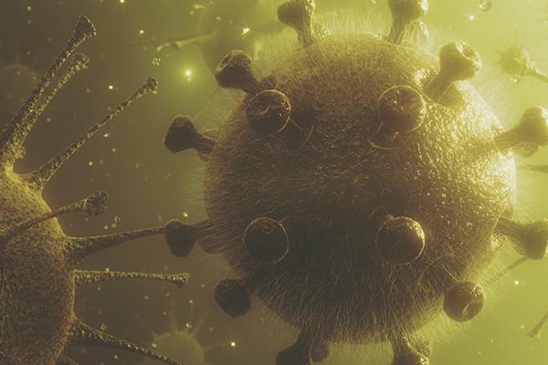 Um estudo da National Public Health Organization comparou carga viral, comorbidades pré-existentes, idade, gravidade e desfecho hospitalar.