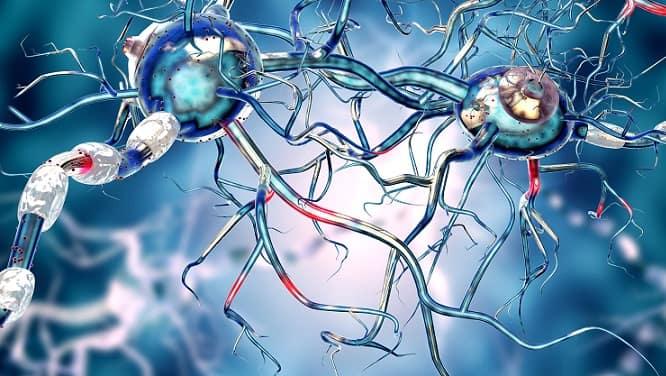 neurônios com estresse devido à pandemia