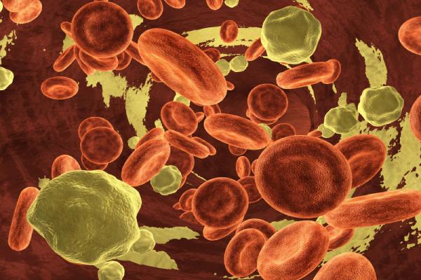 Dia 8 de maio comemoramos o Dia Internacional da Talassemia. Veja o tratamento em tempos de pandemia e a importância do diagnóstico precoce.