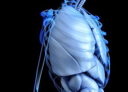 Microbioma pulmonar: a importância da flora bacteriana nos pulmões