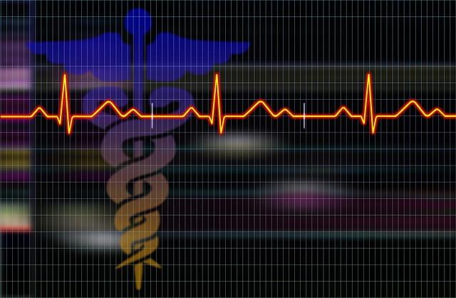 Análise bibliográfica destaca os 100 artigos mais influentes em doença cardíaca congênita em 20 anos