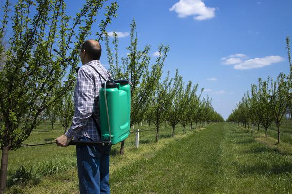 Como realizar a abordagem adequada em intoxicações agudas por agrotóxicos (Parte IV): Medidas de descontaminação