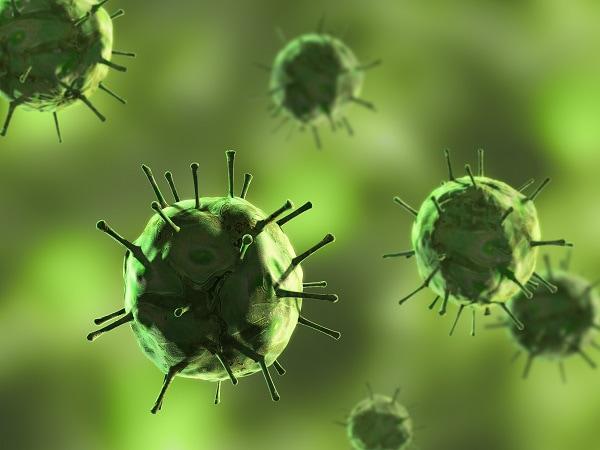 infecção por HTLV