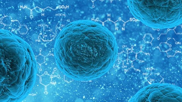 ECCMID 2022: devemos usar terapia combinada ou monoterapia em infecções por organismos resistentes?