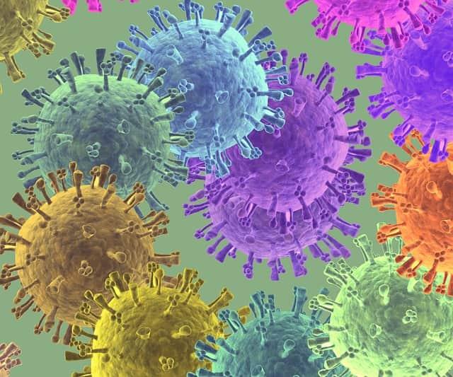 Identificada em São Paulo subvariante inédita da covid-19