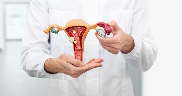 ICO 2024: Obesidade na menopausa