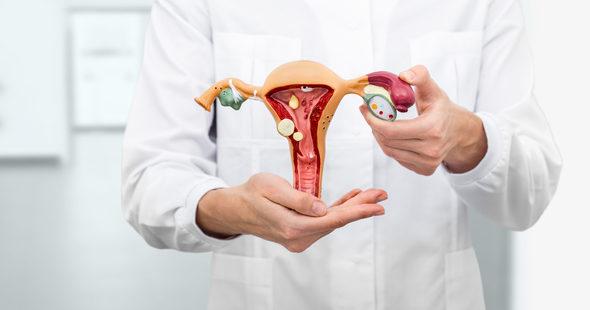 Sancionada lei que reduz idade e dispensa aval do cônjuge para realização de laqueadura e vasectomia