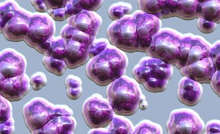 Idade materna e IMC como fatores de risco para colonização reto-vaginal com Streptococcus do grupo B