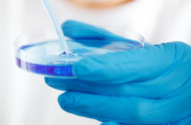 ID Week 2022: estudos de doenças fúngicas que podem mudar a prática