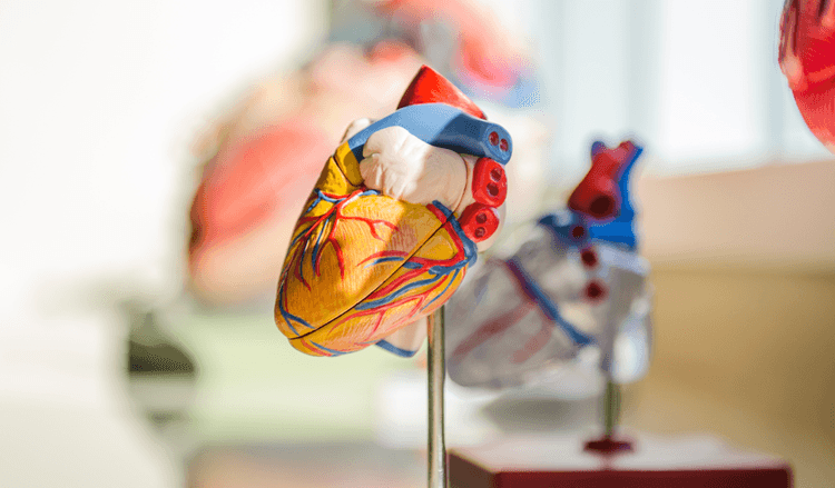 Amiloidose: uma causa comum de IC FEP