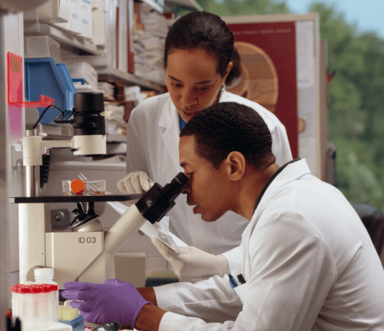 Método de Otimização dos Testes de Sensibilidade aos Antimicrobianos