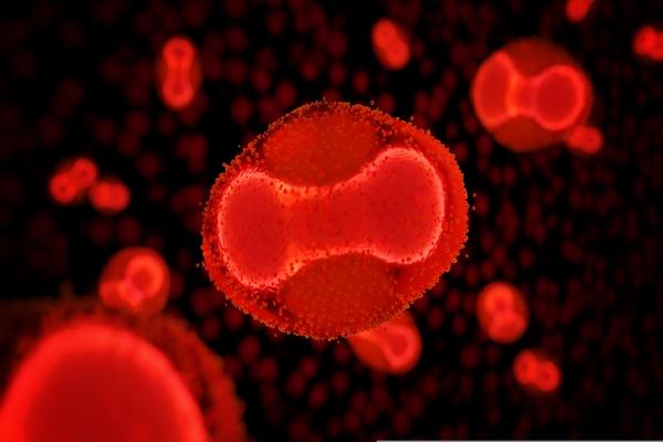 OMS decreta fim da emergência mundial de saúde da mpox