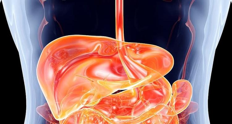 Antibioticoprofilaxia na hepatite alcoólica