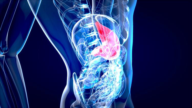 Fiocruz anuncia insumo 100% nacional para testes rápidos da leishmaniose visceral