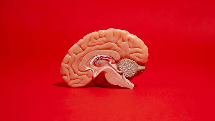 Andexanet alfa: redução de hemorragia cerebral e o uso de inibidores de fator Xa